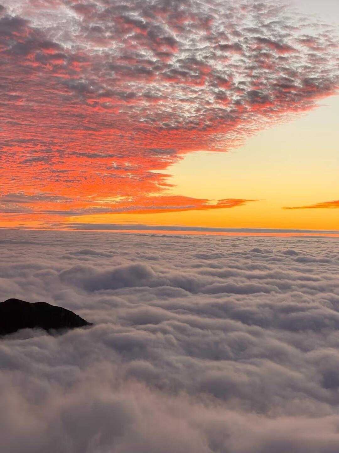 微信图片_20260413090611_41_461.jpg 微信图片_20260413090611_41_461.jpg