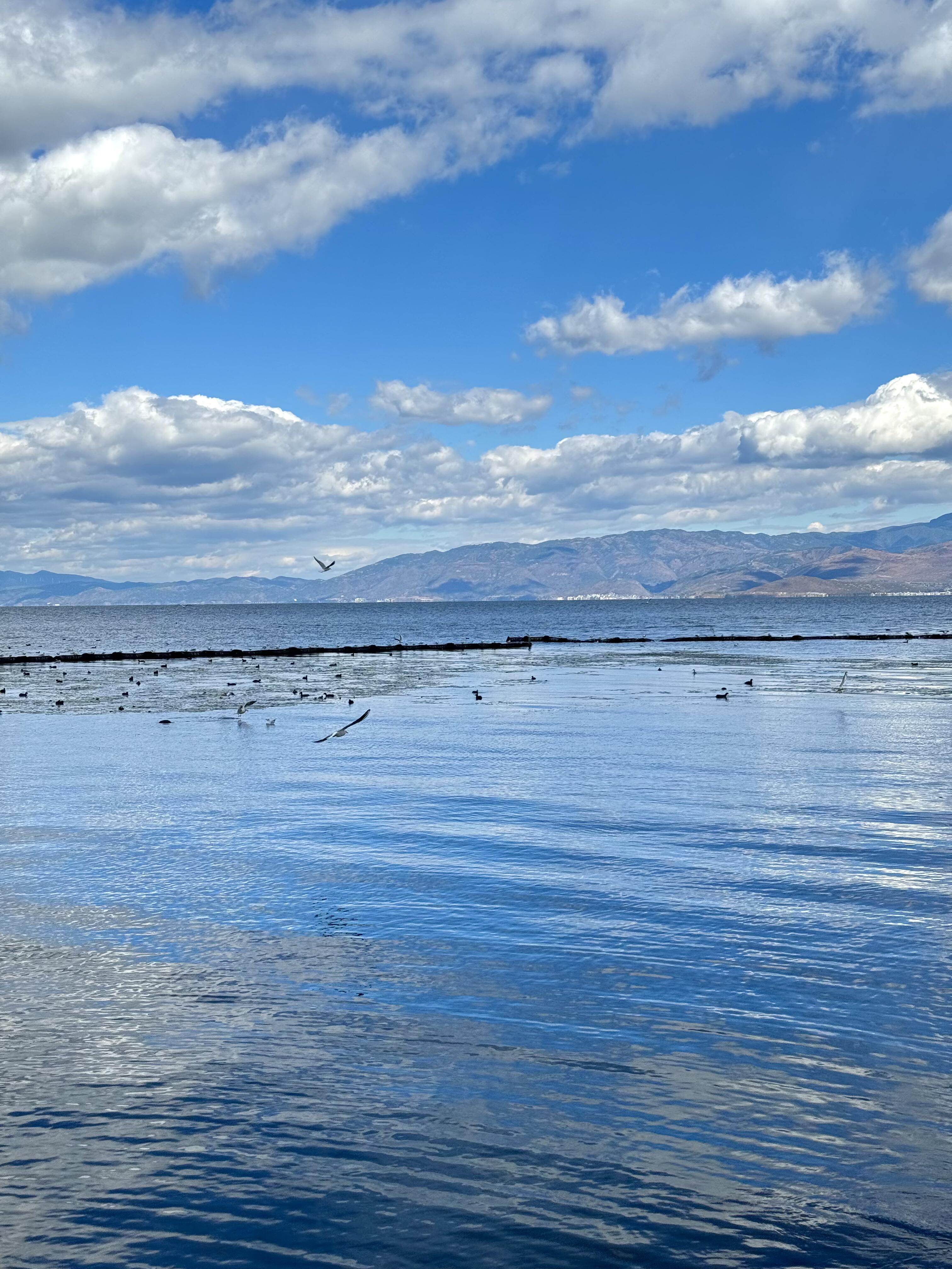 微信图片_20260414091010_57_461.jpg 微信图片_20260414091010_57_461.jpg