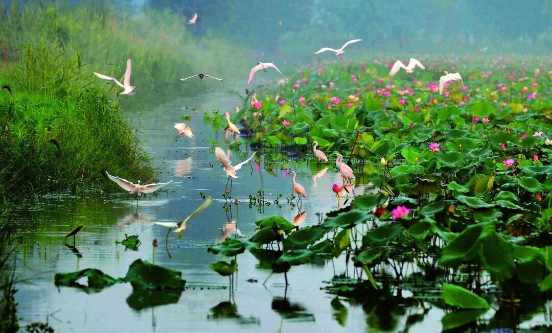 微信图片_20260414093227_75_461.jpg 微信图片_20260414093227_75_461.jpg