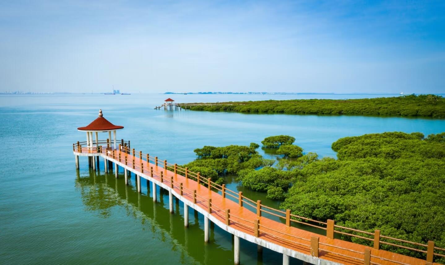 微信图片_20260415092756_125_461.jpg 微信图片_20260415092756_125_461.jpg